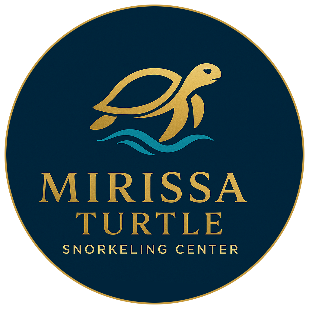 Mirissa Turtle Snorkeling Center / Sri lanka