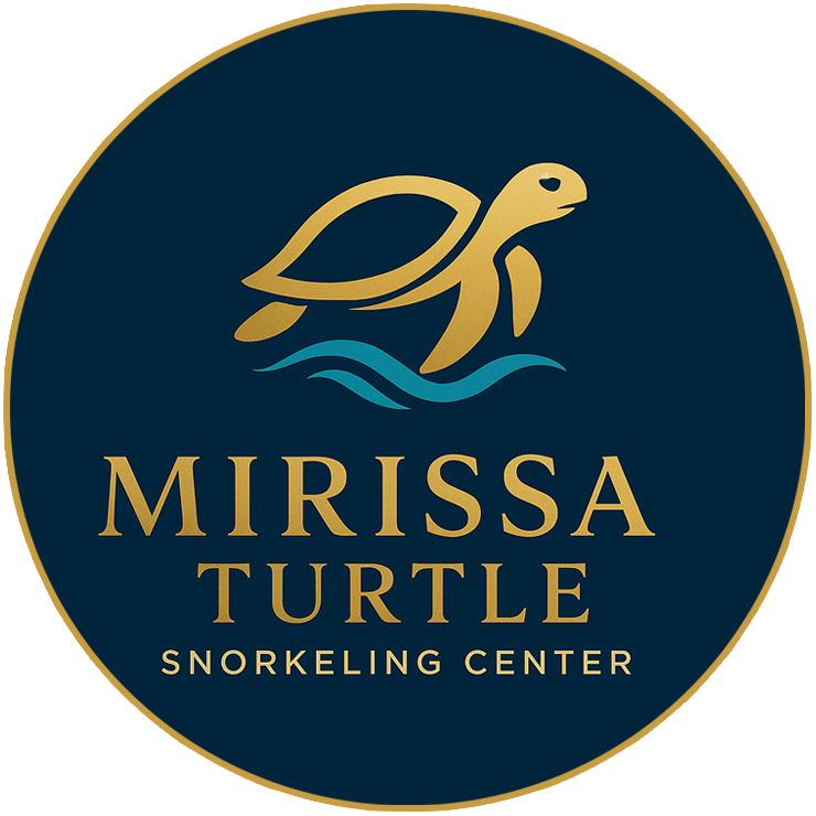 Mirissa Turtle Snorkeling Center / Sri lanka